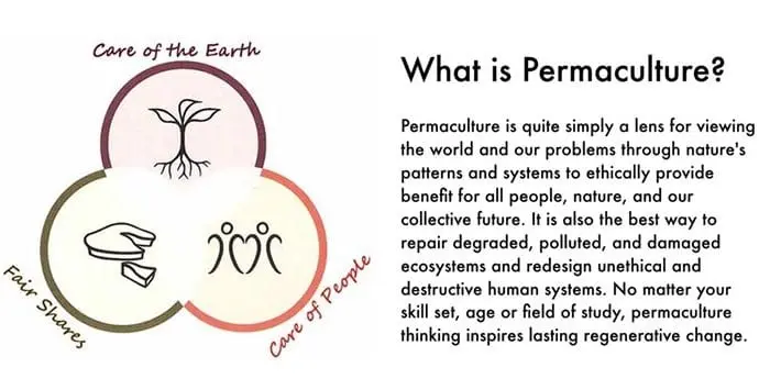 What is permaculture?