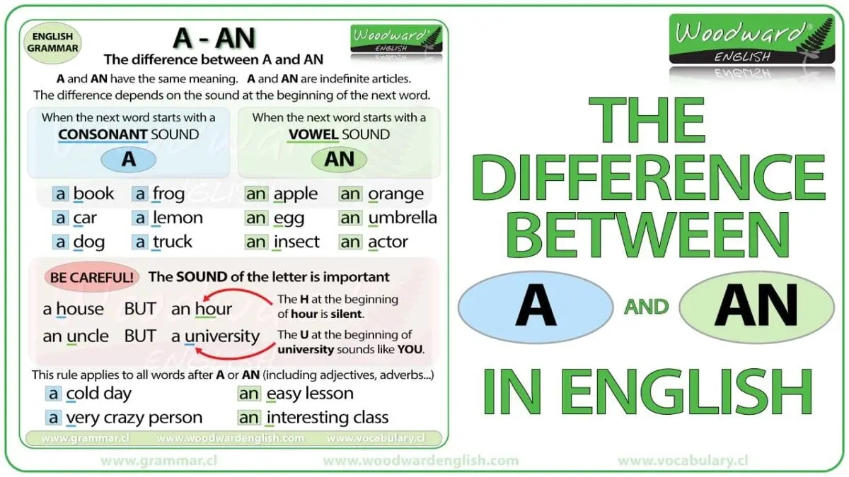 What is the difference between a vegan and a vegetarian?