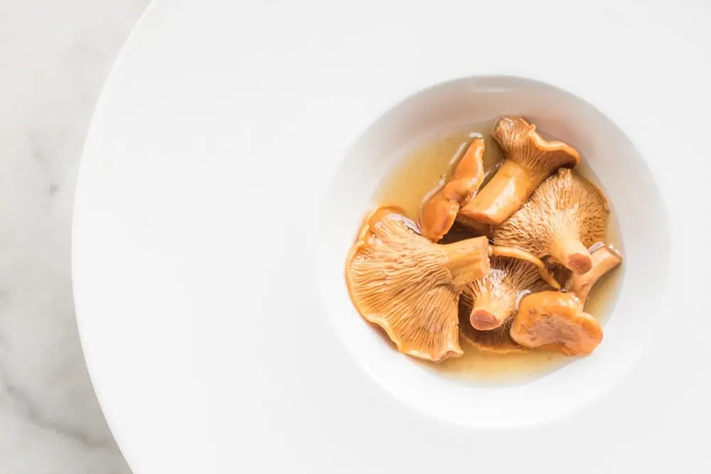 What to do if mushrooms fermented?