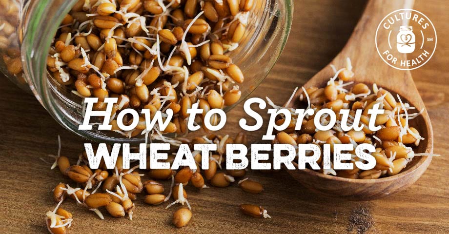 Wheat sprouts: how to germinate, how to use, storage