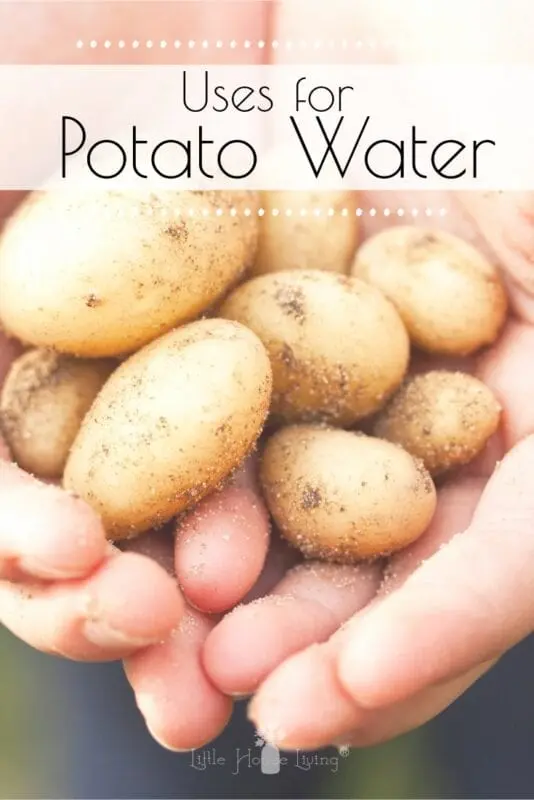 Whether to drain water from potatoes