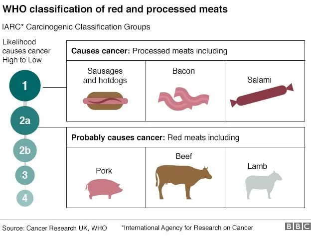 WHO: red meat causes cancer