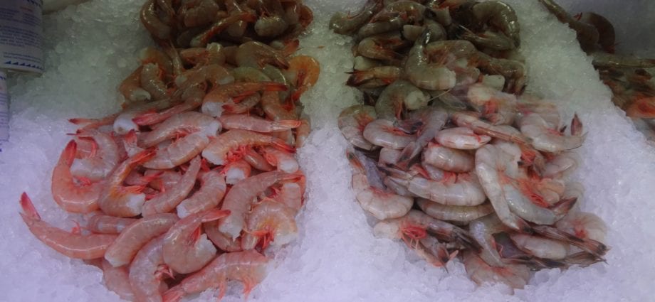Why are shrimp tough?