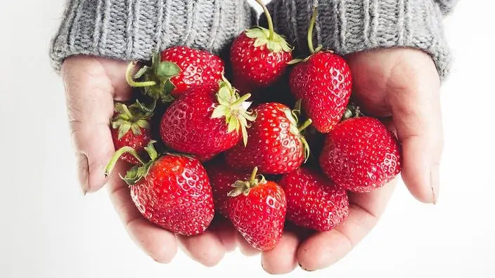 Why are strawberries bitter?