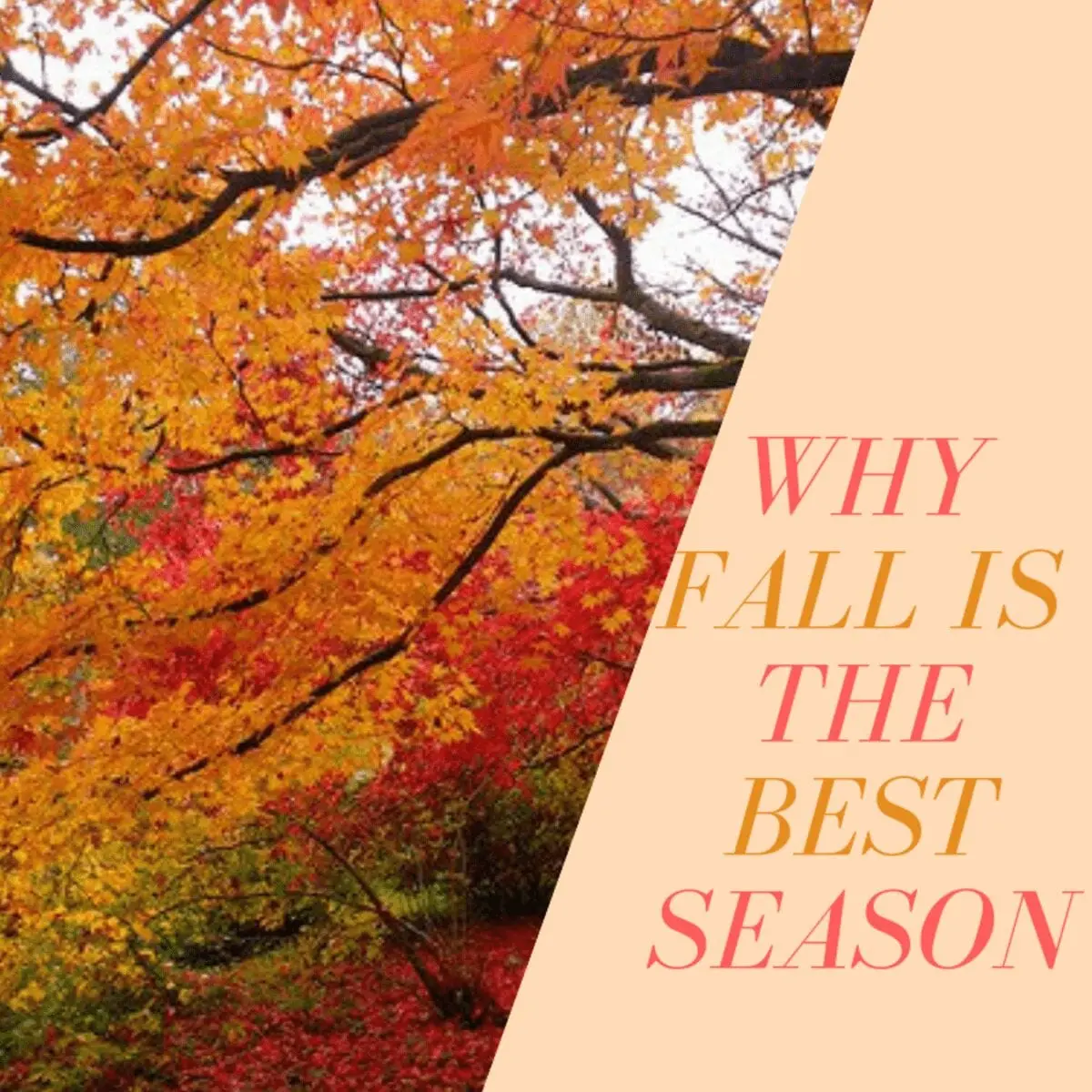 Why autumn is the best time to start eating right