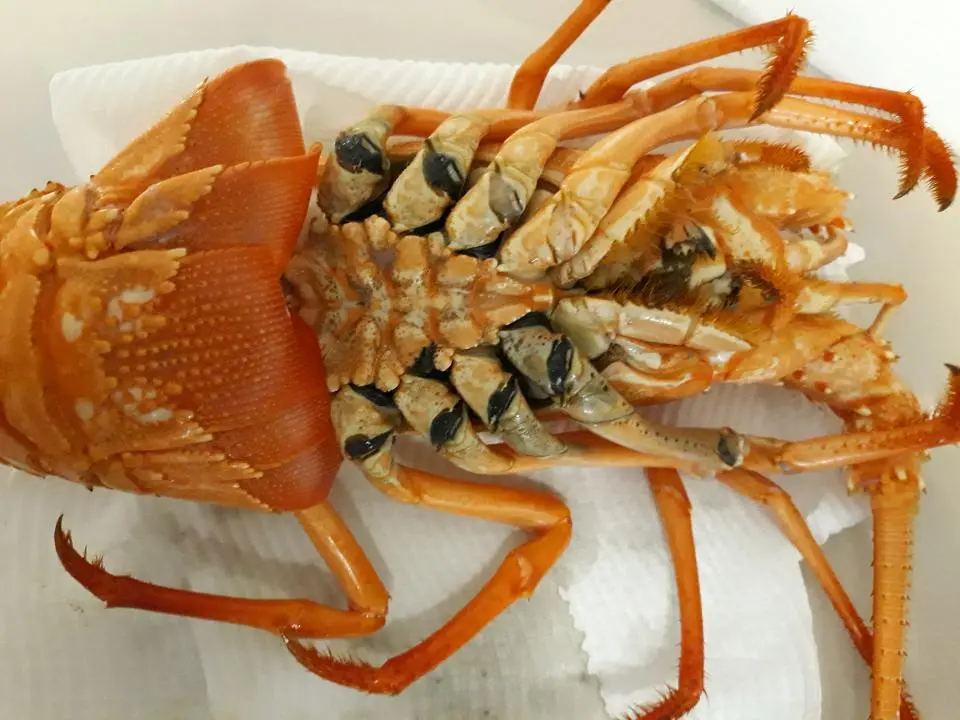 Why do crayfish turn black when cooked?