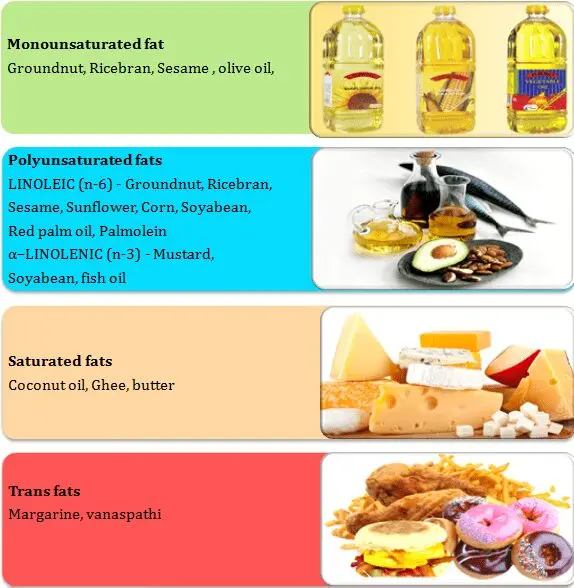 Why does the body need fats?