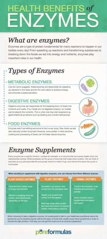 Why enzymes are important for health