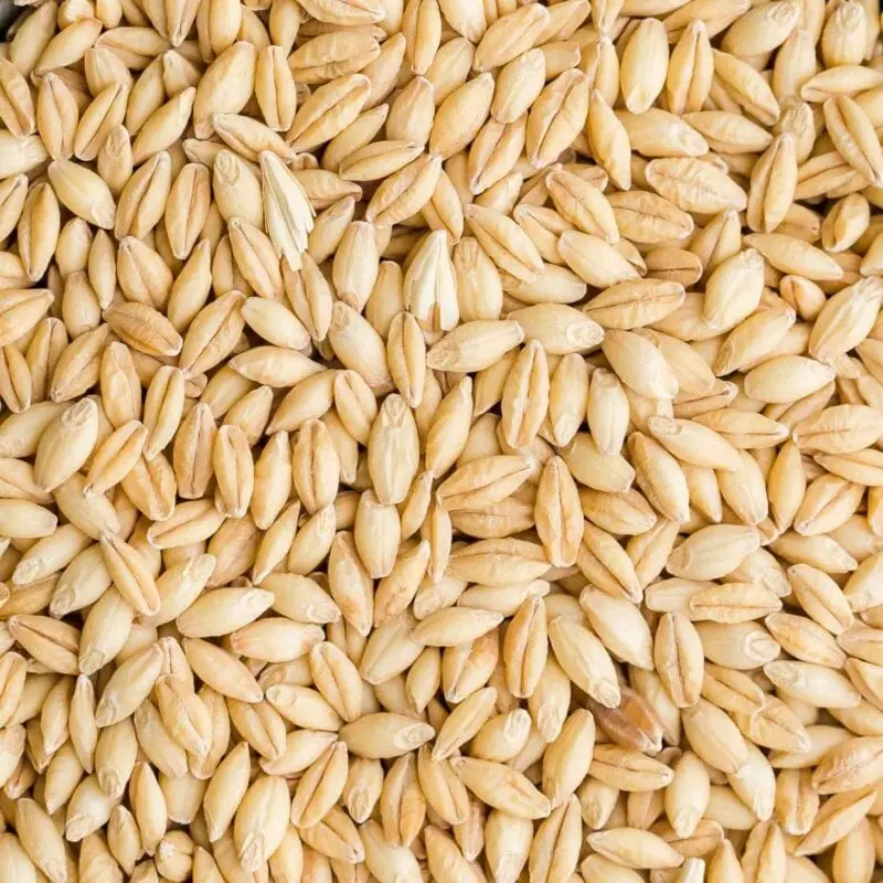 Why is barley hard?