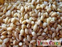 Why is barley soaked?