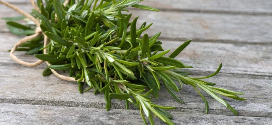 Why you need to eat rosemary