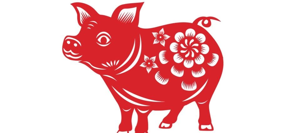 Year of the Pig: how to attract good luck in 2019