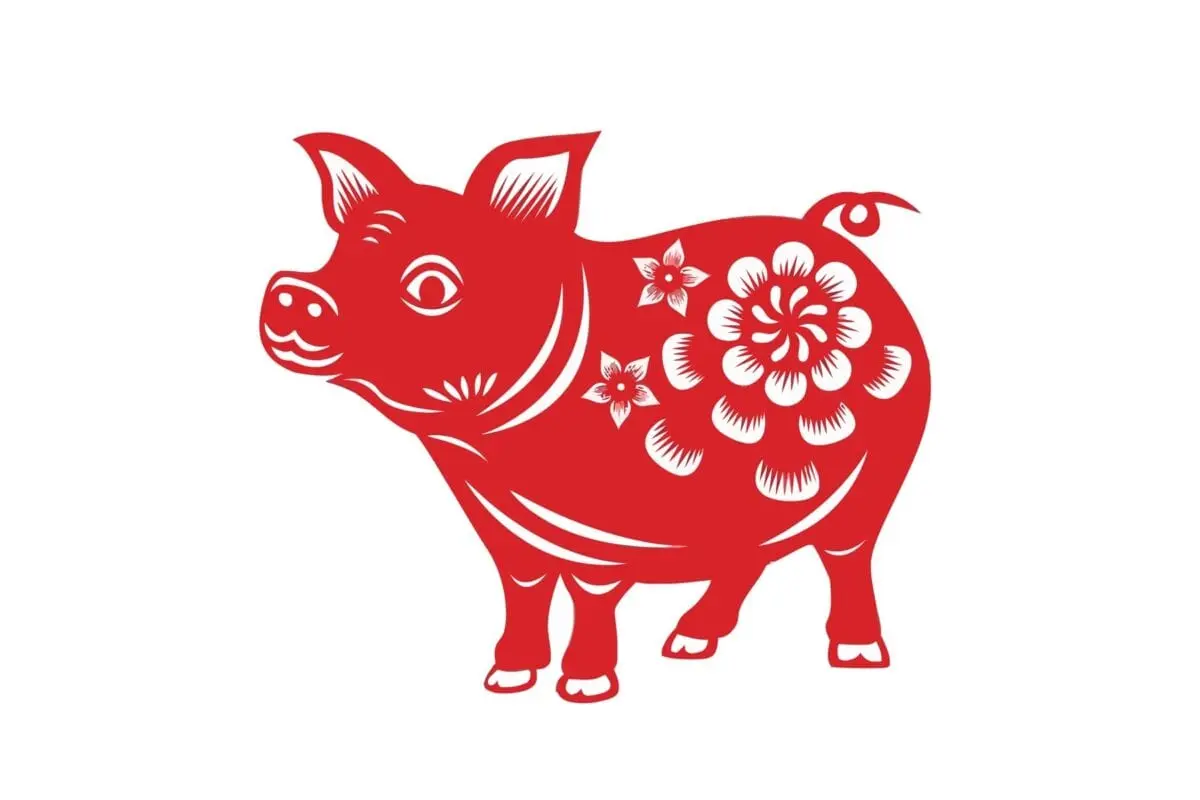 Year of the Pig: how to attract good luck in 2019