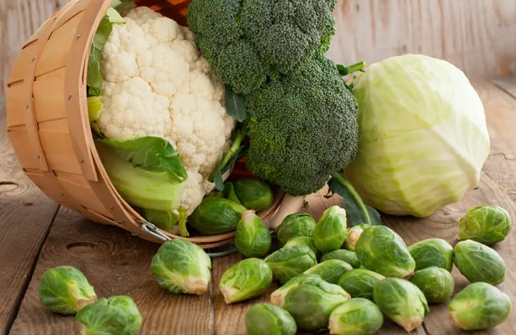 Green Vegetables &#8211; why they are particularly useful