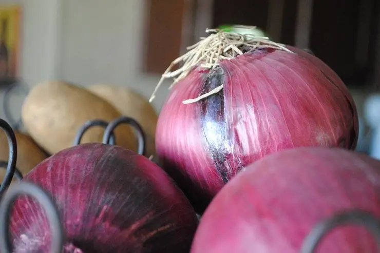 TOP 5 reasons to eat a red onion