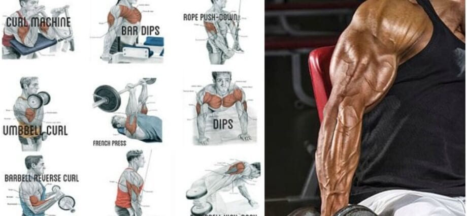 6 exercises for big arms