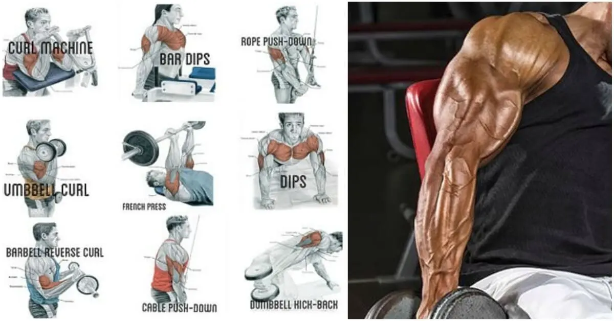 6 exercises for big arms