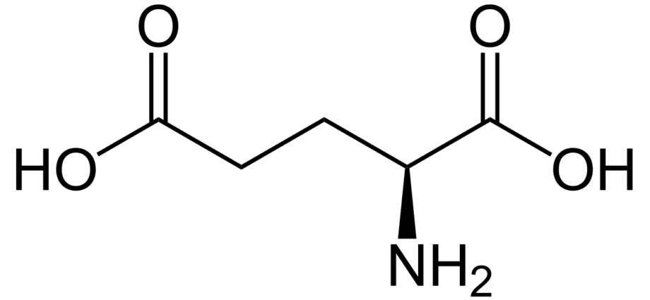 A few words about glutamic acid.