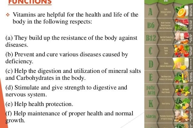 About the role of vitamins in human life.
