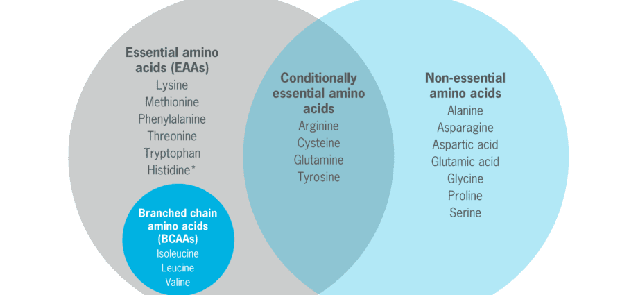 Amino Acids vs. Protein: Which Is Better To Choose?