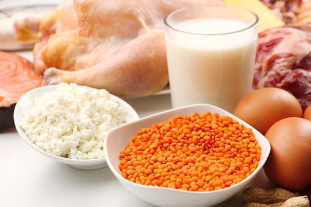 The protein diet: the clear result and the hidden threat