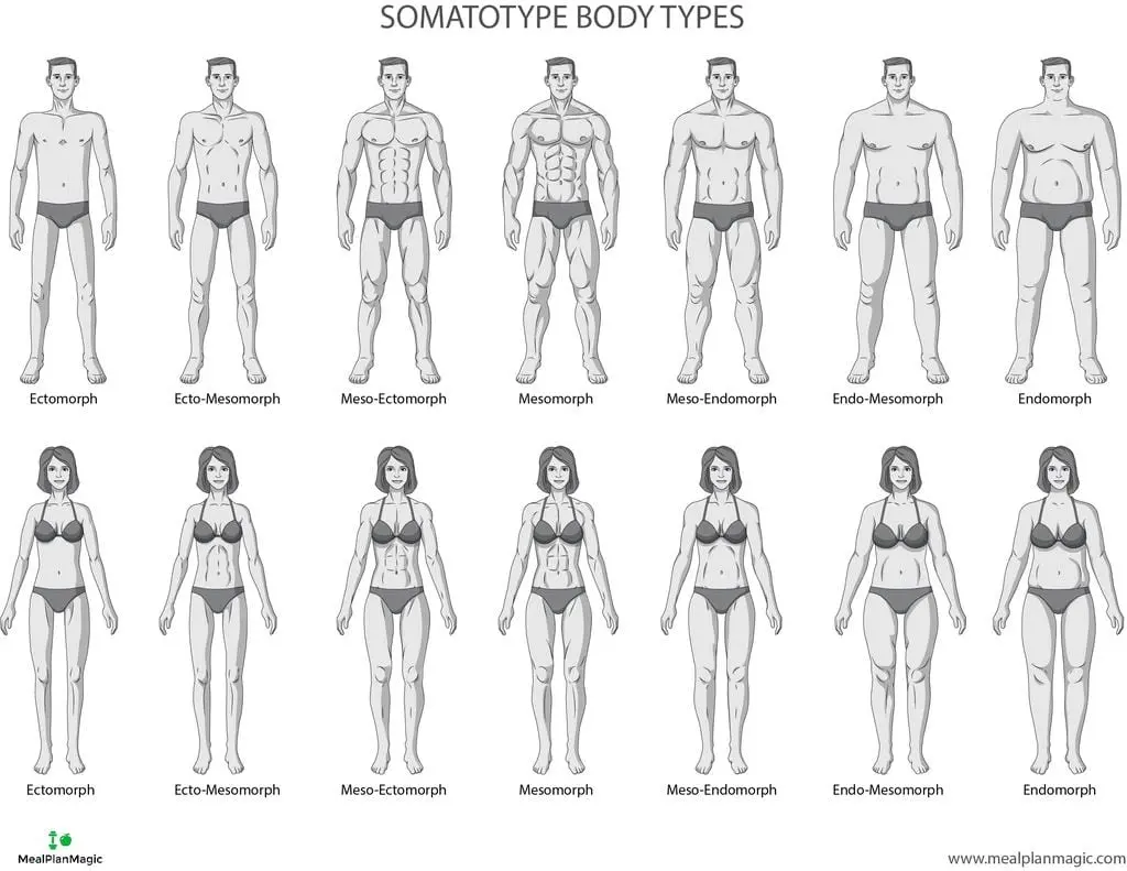 Determine your body type, physique.