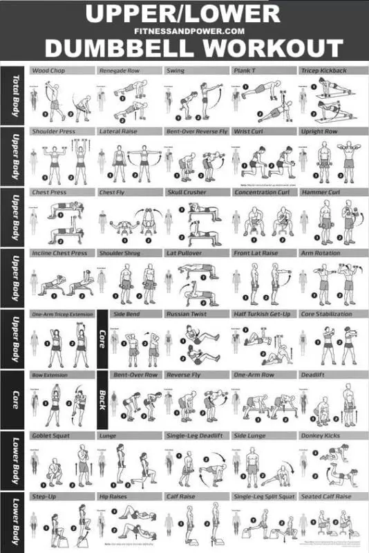 Dumbbell home workout program