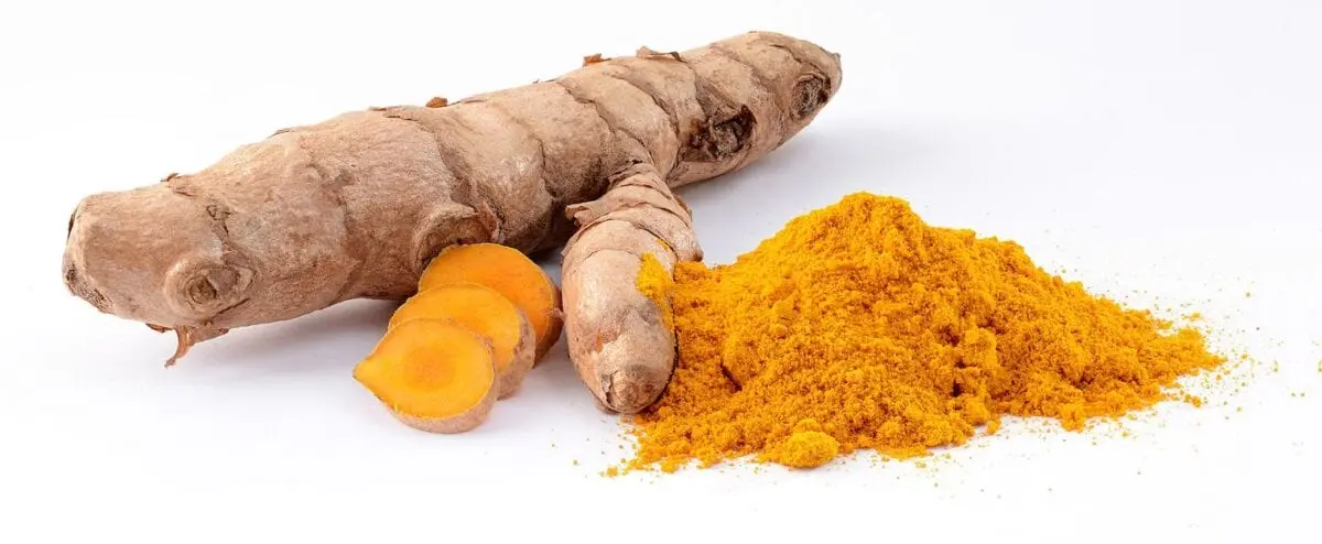 E100 Curcumin