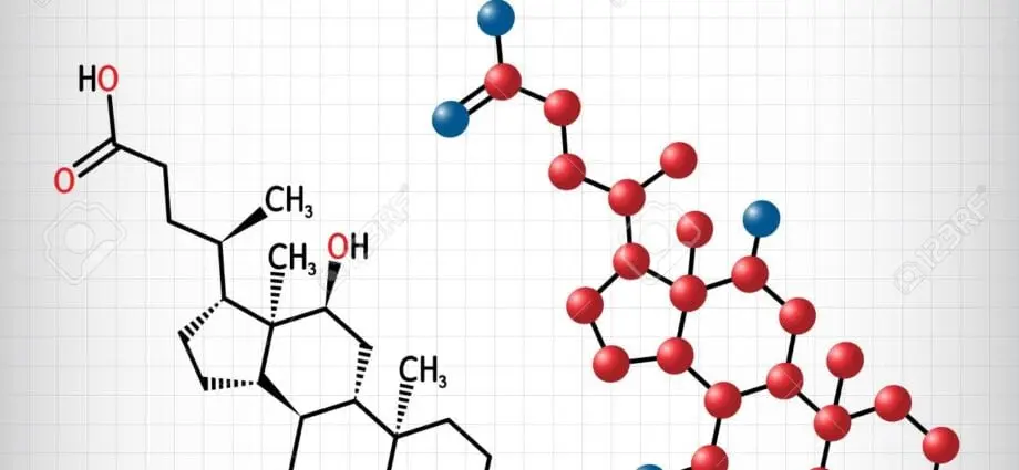 E1000 Cholic Acid