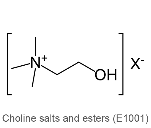 E1001 Choline, salts and esters