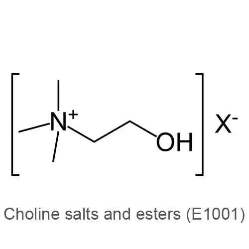 E1001 Choline, salts and esters