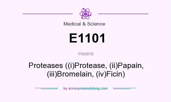 E1101 Proteases