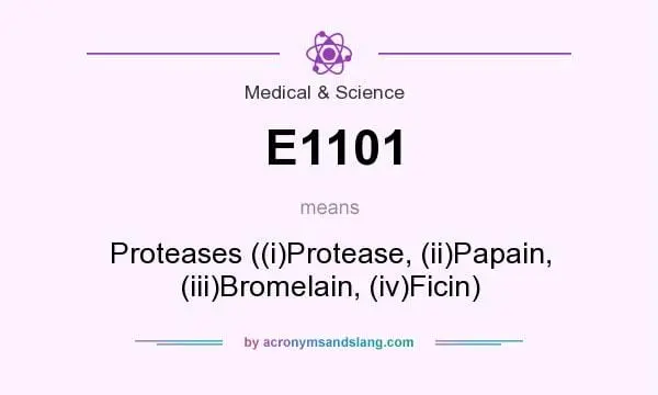 E1101 Proteases