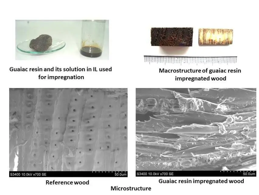 E241 Guaiac Resin