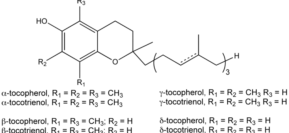 E307 sintetike alfa-tokoferol (Vitamina E)