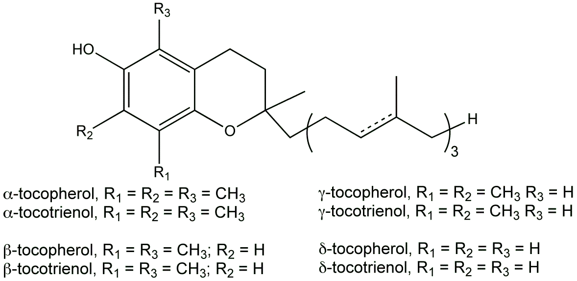 E307 Alpha-tocopherol synthetic (Vitamin E)