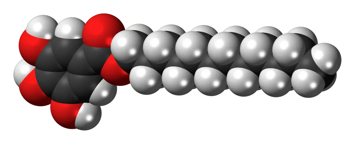 E312 Dodecyl Gallate