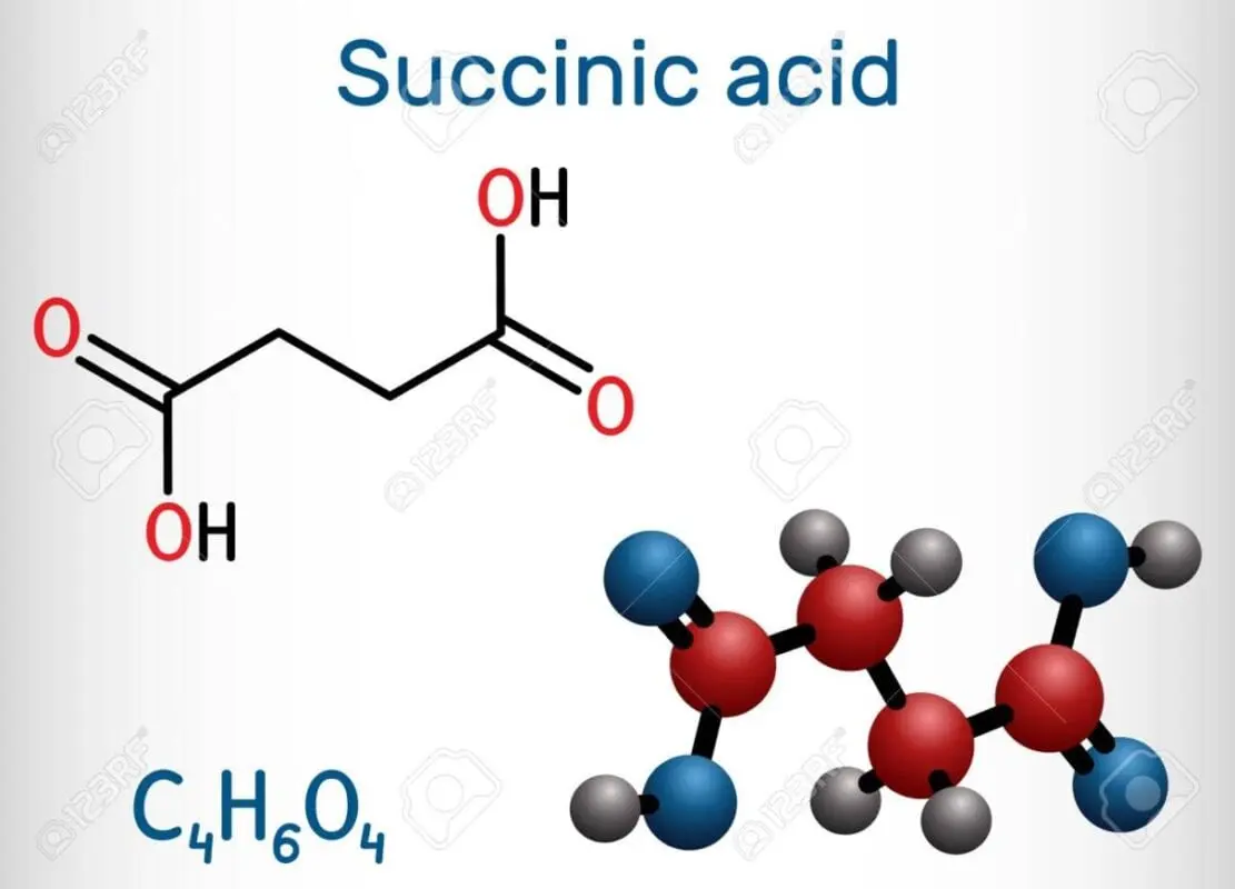 E363 Succinic Acid