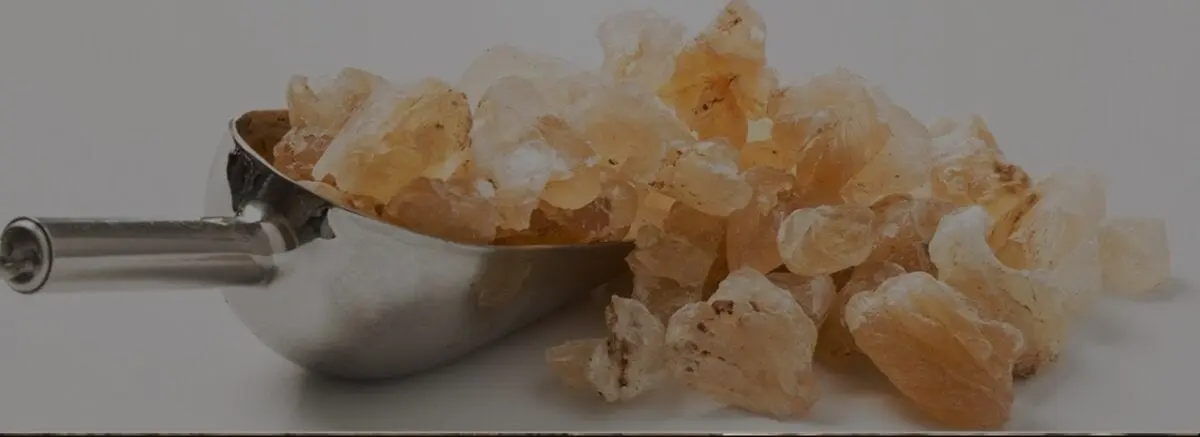 E416 Karaya Gum