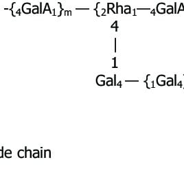 E426 Soy Hemicellulose