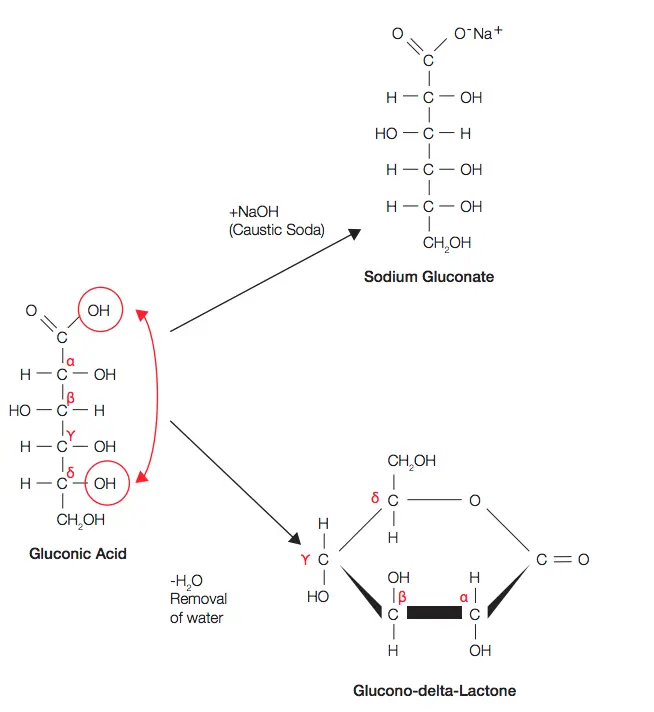 E574 Gluconic Acid (D -)