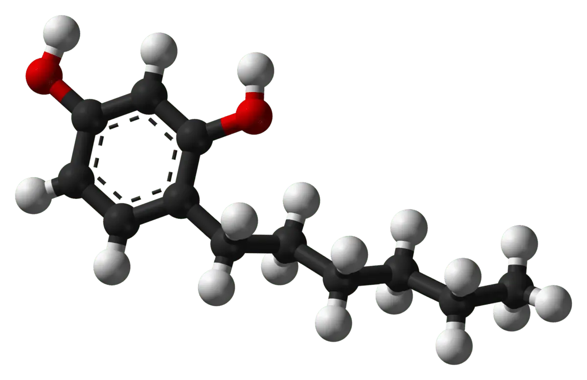 E586 4-Hexylresorcinol