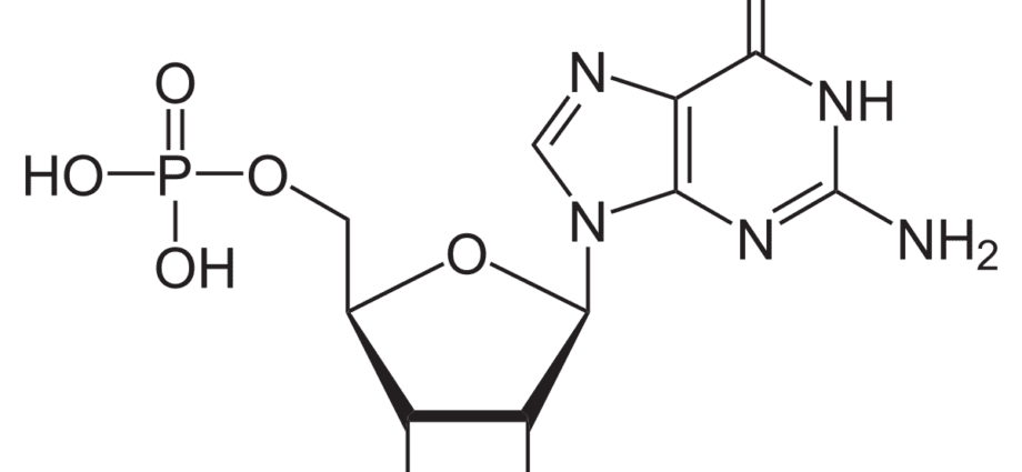 E626 Guanylic Acid