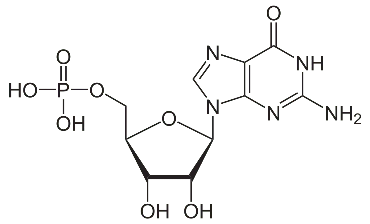 E626 Guanylic Acid