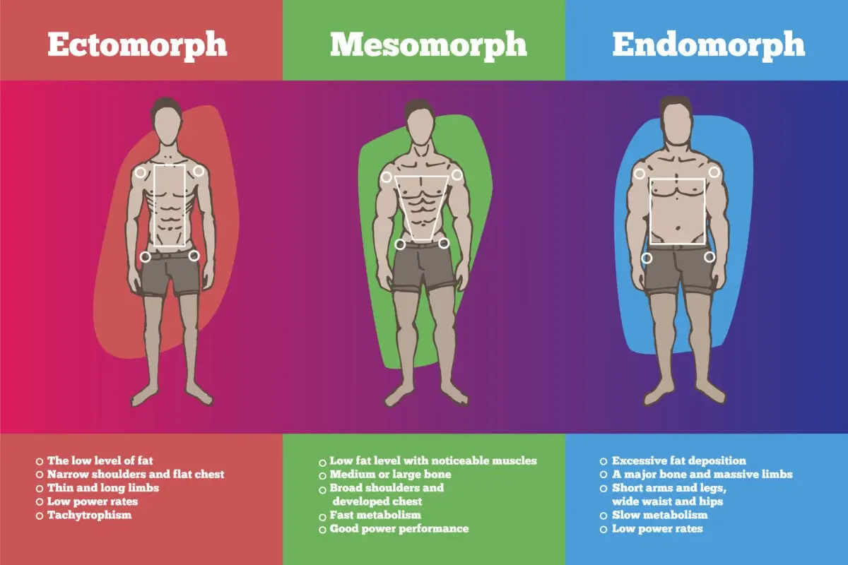 Ectomorph Mass Gain Program