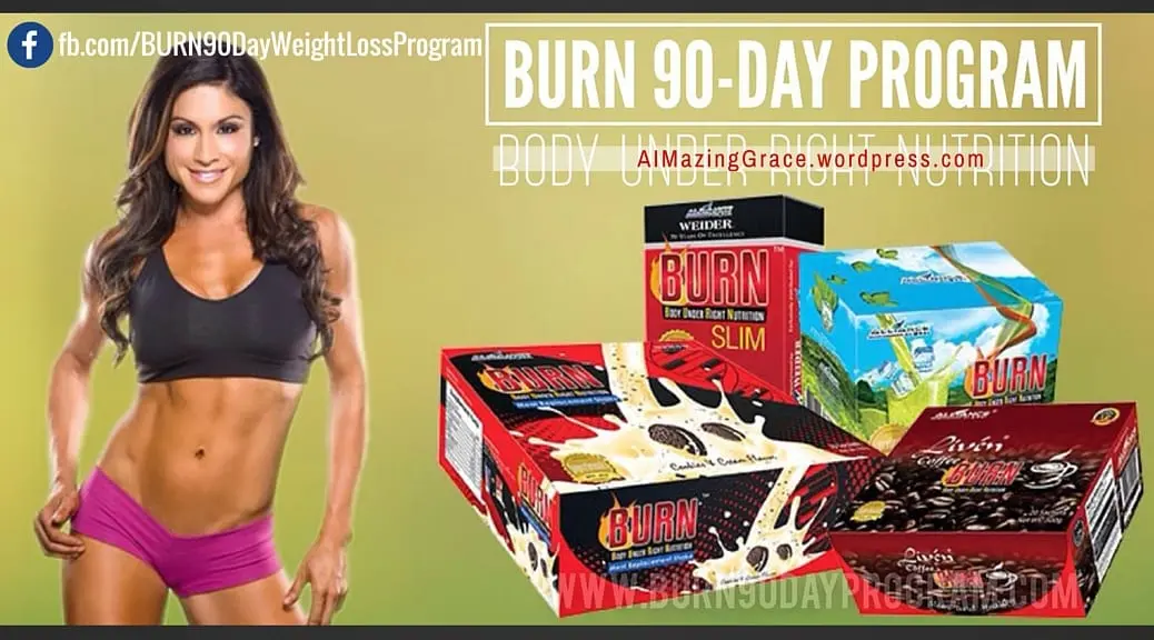 Fat Burning Program by Felicia Romero