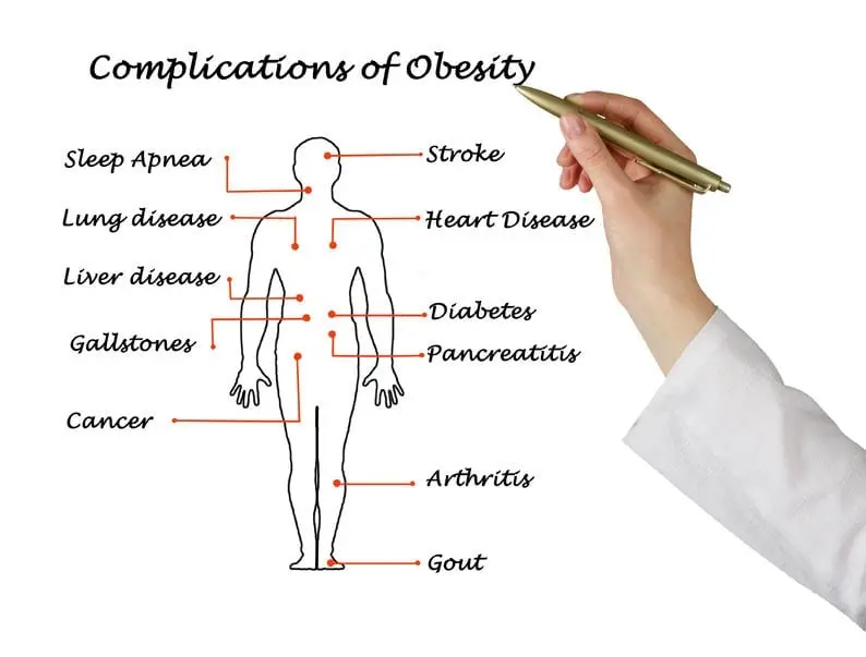 Fats are not related to obesity