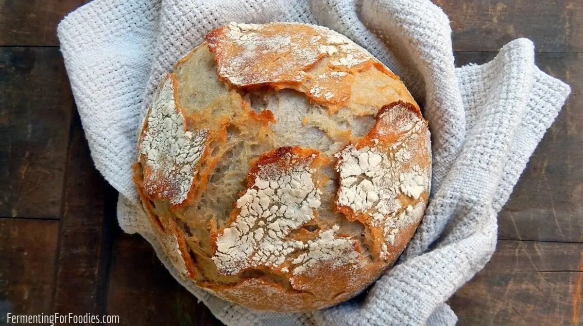 French sourdough bread