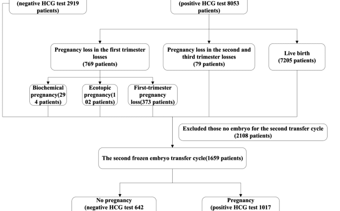 Frozen pregnancy: causes and consequences