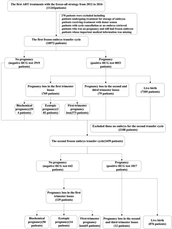 Frozen pregnancy: causes and consequences